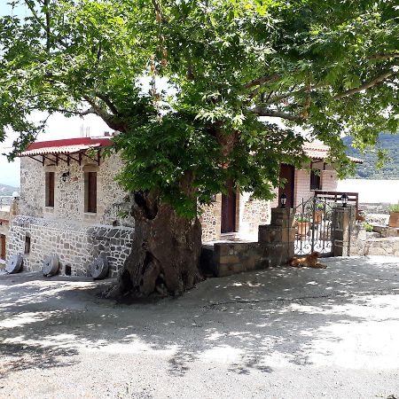 Traditional House Koukounara Kíszamosz Kültér fotó