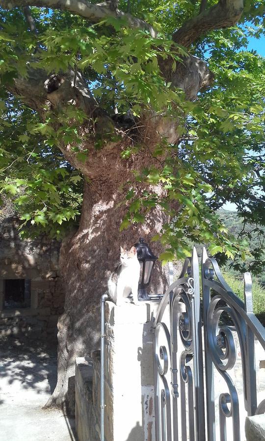 Traditional House Koukounara Kíszamosz Kültér fotó