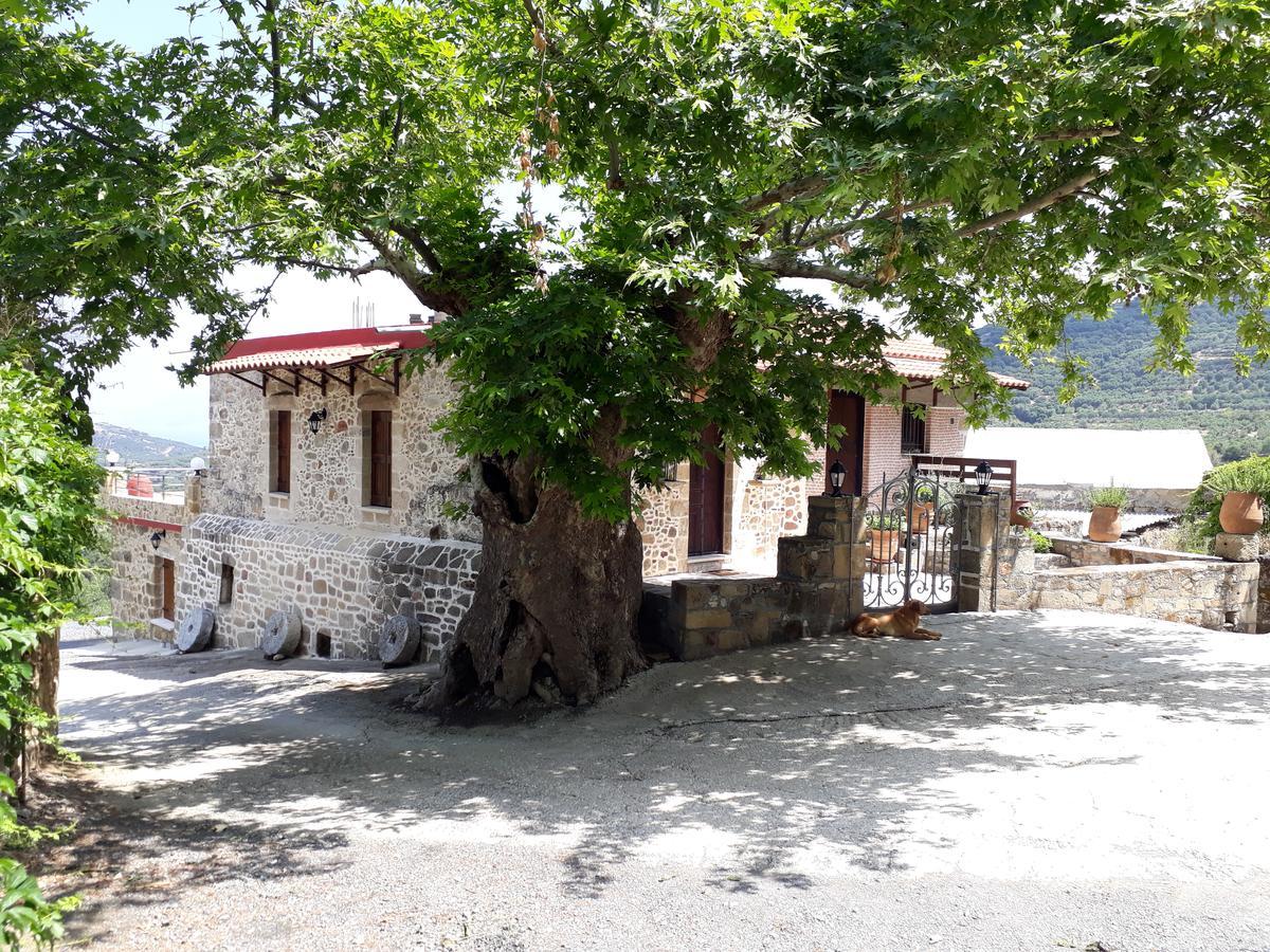 Traditional House Koukounara Kíszamosz Kültér fotó